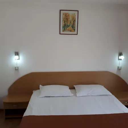Pensiunea Cionca Str 1 Decembrie 1918 Nr 466 게스트하우스